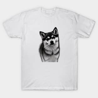 Alaskan Klee Kai Dog T-Shirt